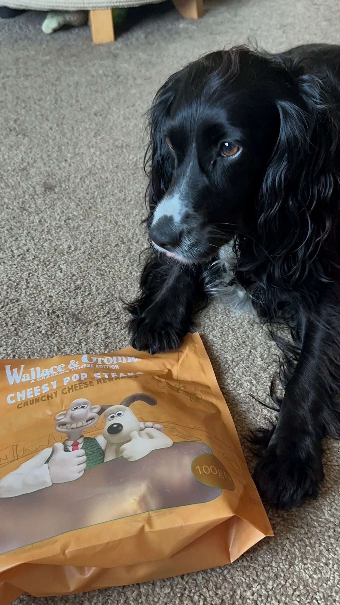 Cheese Bones vs Rawhide: Why We're a Safer, All-Natural Alternative