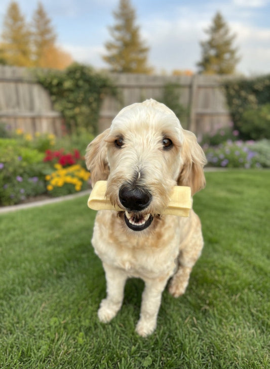 All Cheese, No Waste: Getting the Most From Every Cheese Bone