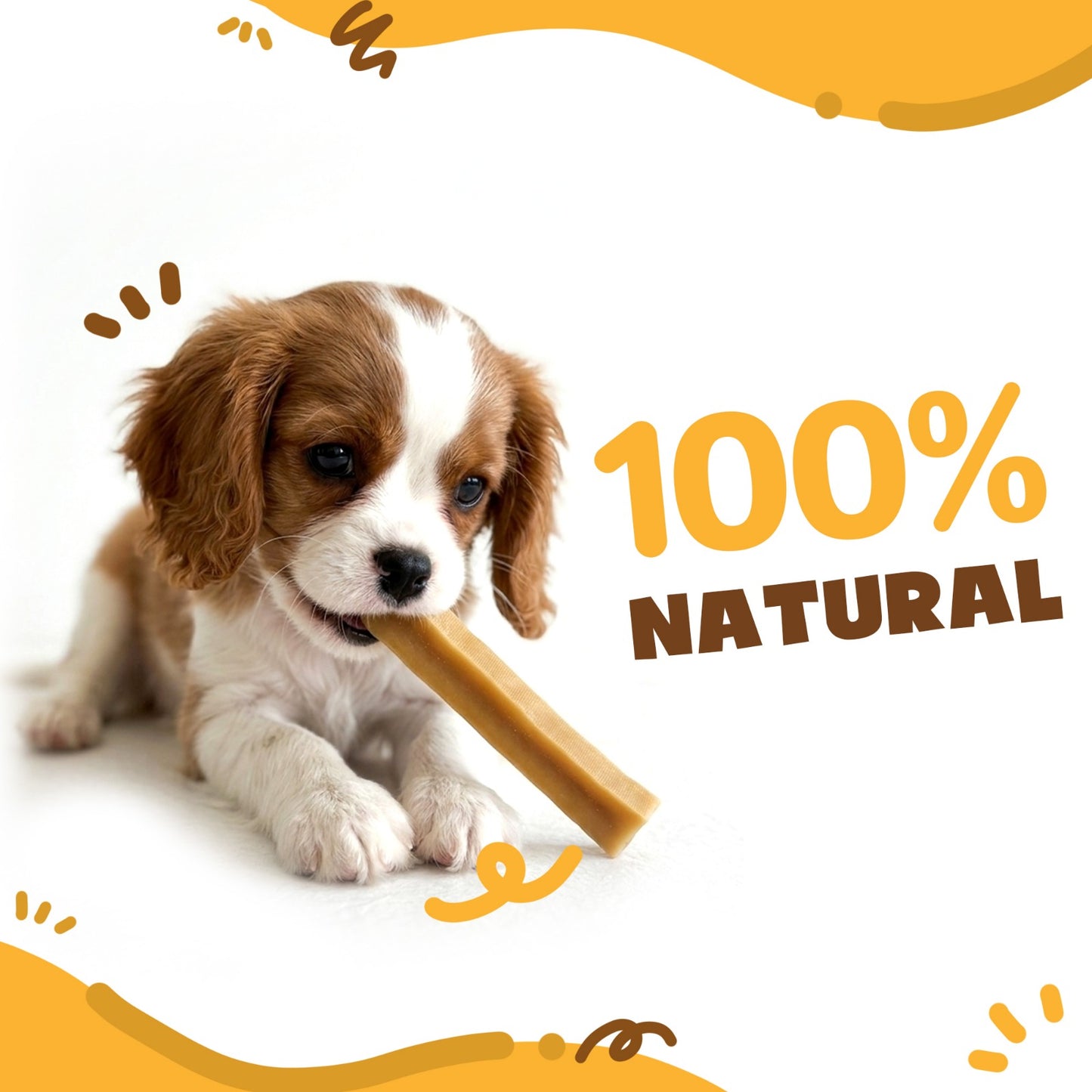 Small Long-Lasting Multipack Cheese Bones
