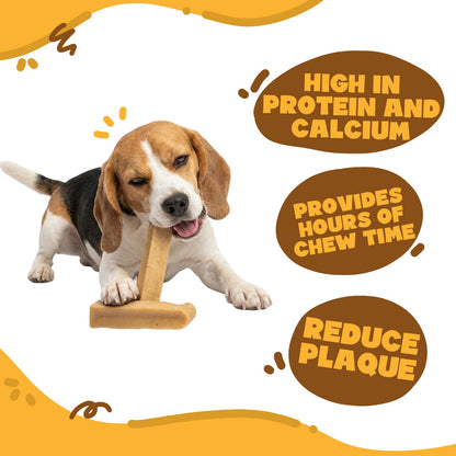 Large Long-Lasting Multipack Cheese Bones